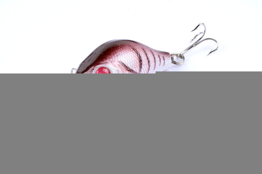 5x 5.5cm Popper Crank Bait Fishing Lure Lures Surface Tackle Saltwater