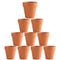 10x 6cm Flower Pot Pots Clay Ceramic Plant Drain Hole Succulent Cactus Nursery Planter