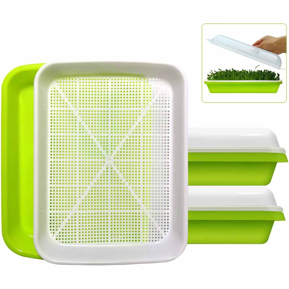 2-Pack Seed Sprouter Trays with Lids BPA-Free, Soil-Free Wheatgrass Growing Kit for Beans, Sprouts, Microgreens
