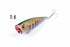 6X 6cm Popper Poppers Fishing Lure Lures Surface Tackle Fresh Saltwater