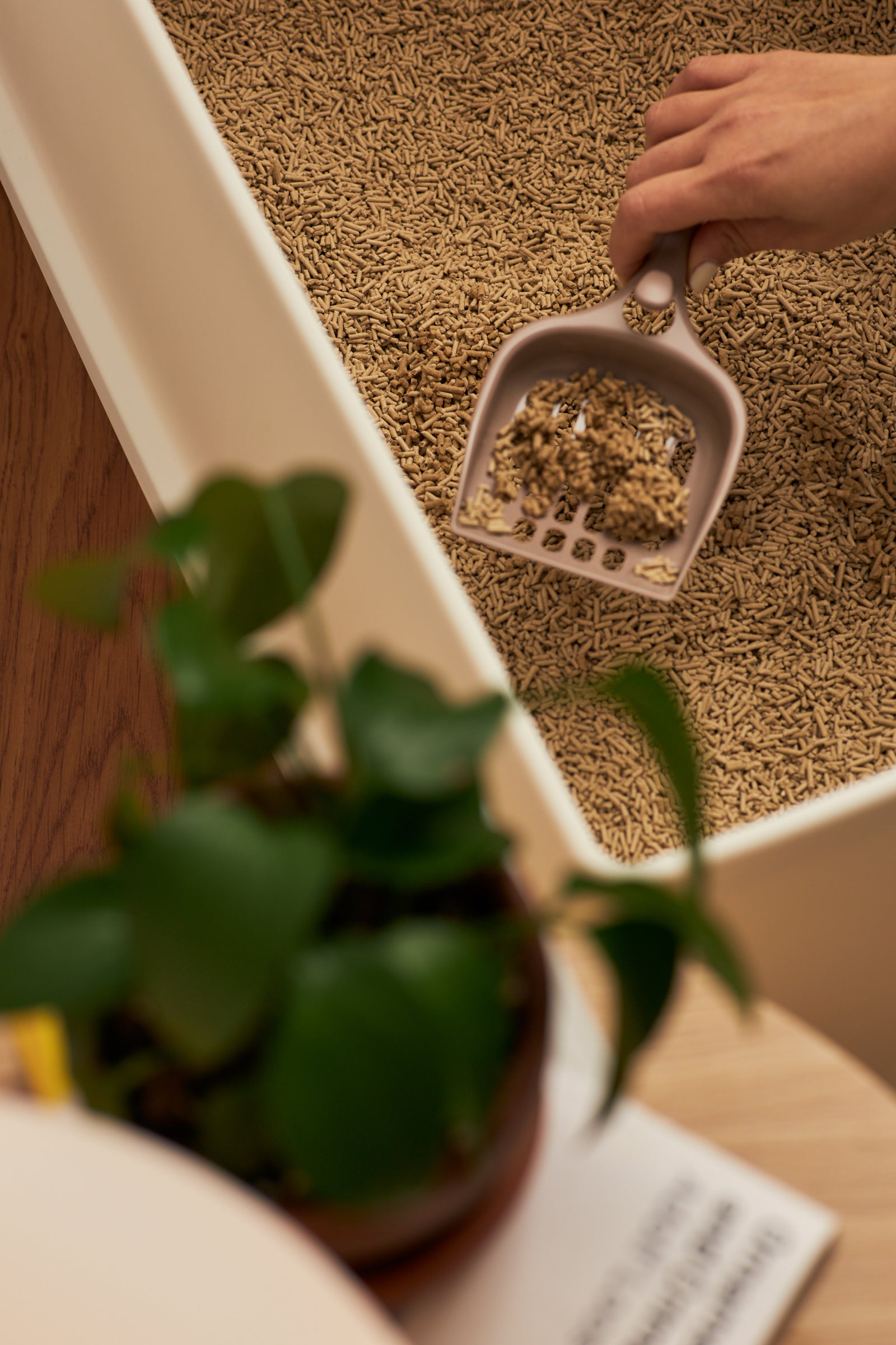 Premium Biodegradable Bamboo Fibre Cat Litter 2KG - Fresh Bamboo Scent | Superior Odour Control, Fast Clumping & Flushable | Pet & Planet Friendly