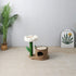 Log Cat House With White Camelia Cat Scratching Tree
