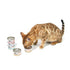 CAT FOREST Classic Tuna White Meat In Gravy Cat Canned Food 85G X 24