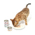 CAT FOREST Classic Tuna White Meat In Gravy Cat Canned Food 85G X 24