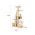 Regal Wood Retreat - 195cm