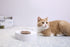 PETKIT Fresh Nano-15 Adjustable Cat Feeding Bowl -Single