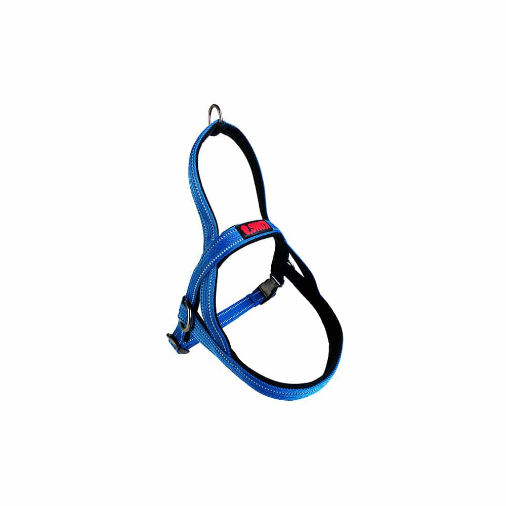 KONG Norwegian Blue Harness Medium