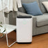 Leone 25L/day Compressor Dehumidifier with Mobile App