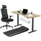 Lifespan Fitness WalkingPad M2 + ErgoDesk 1800mm Oak + Cable Management + DM9 Chair