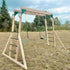 Daintree 2-in-1 Monkey Bars & Swing Set