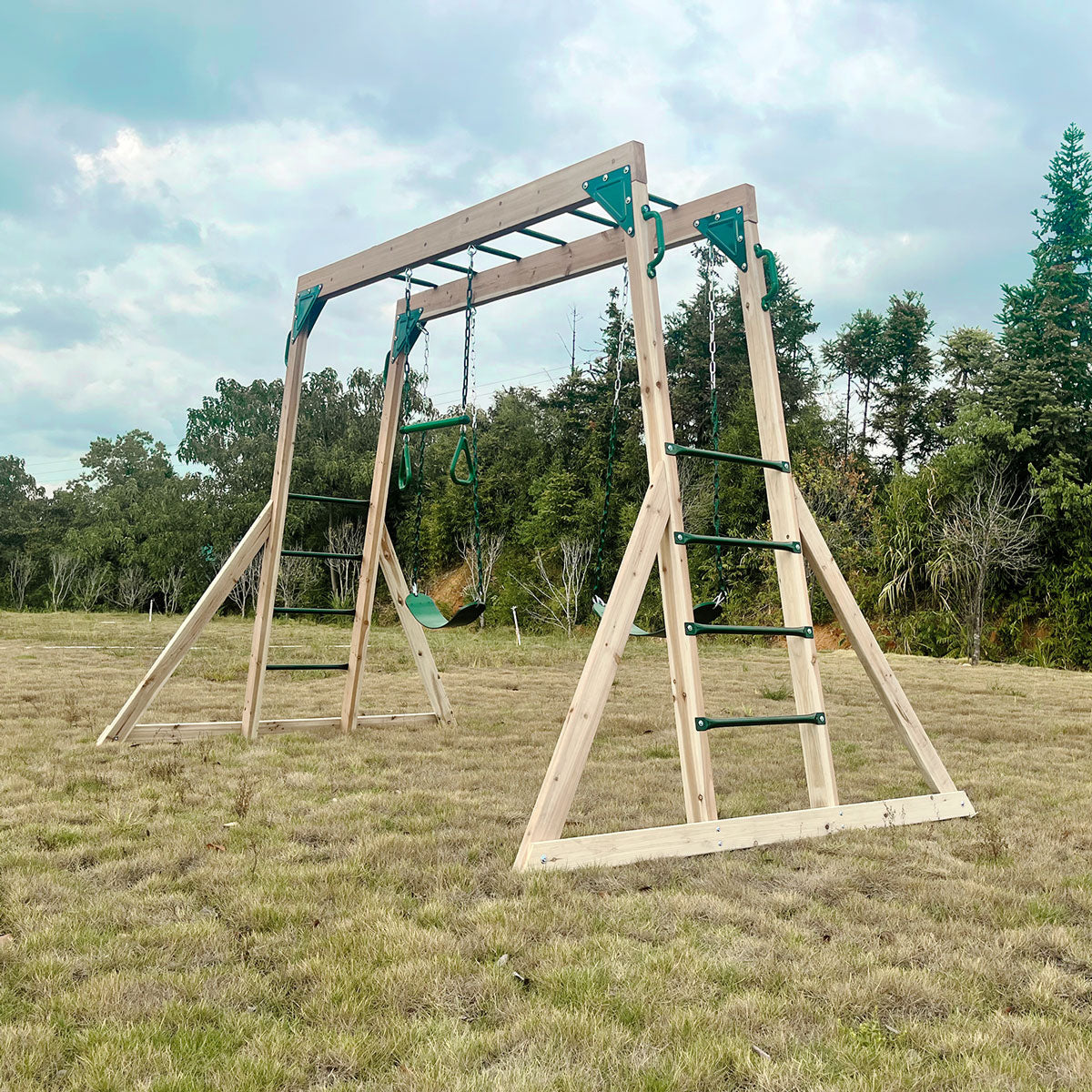 Daintree 2-in-1 Monkey Bars & Swing Set