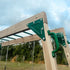 Daintree 2-in-1 Monkey Bars & Swing Set