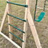 Lifespan Kids Daintree 2-in-1 Monkey Bars & Swing Set