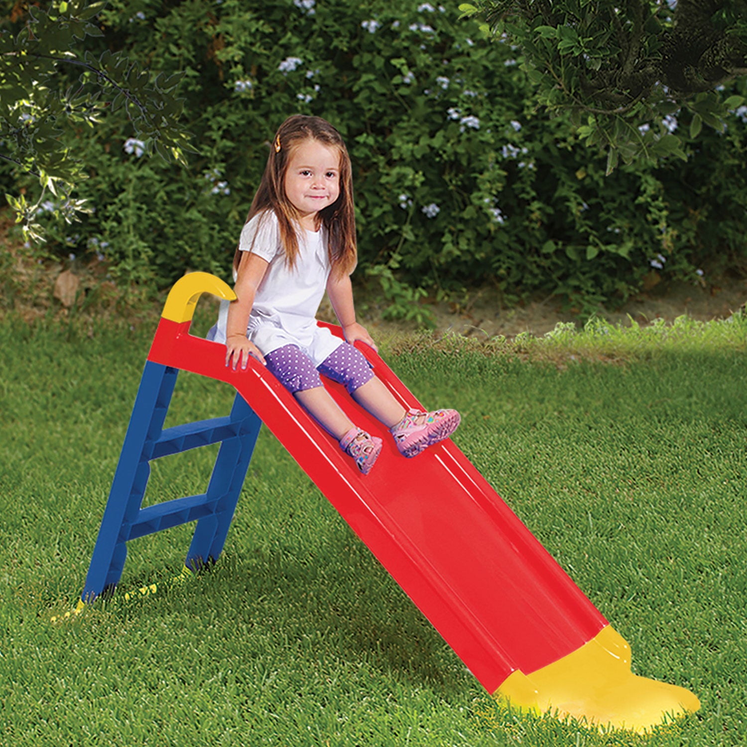 Slide with Ladder