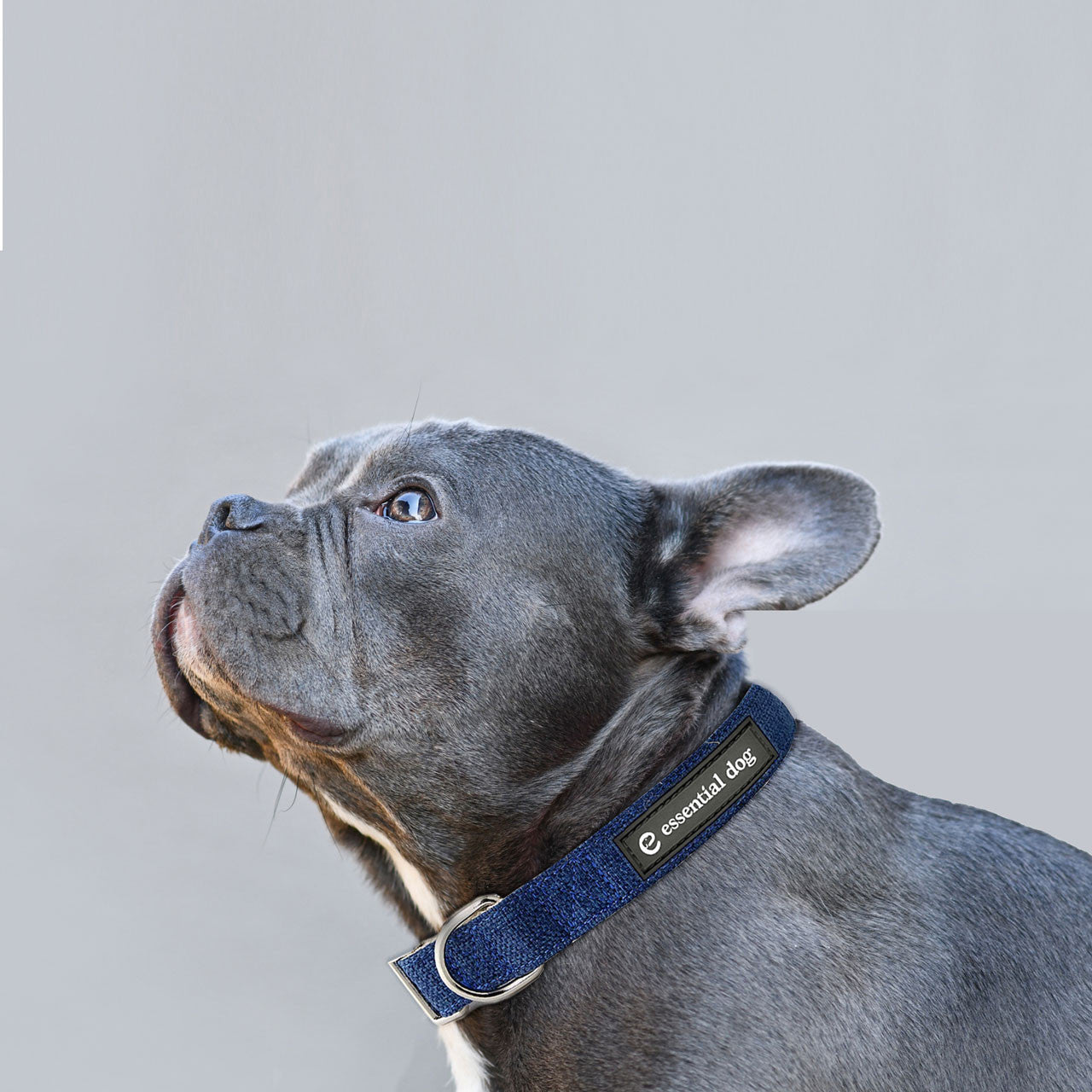 Natural Hemp & Cotton Dog Collar (Ink Blue)