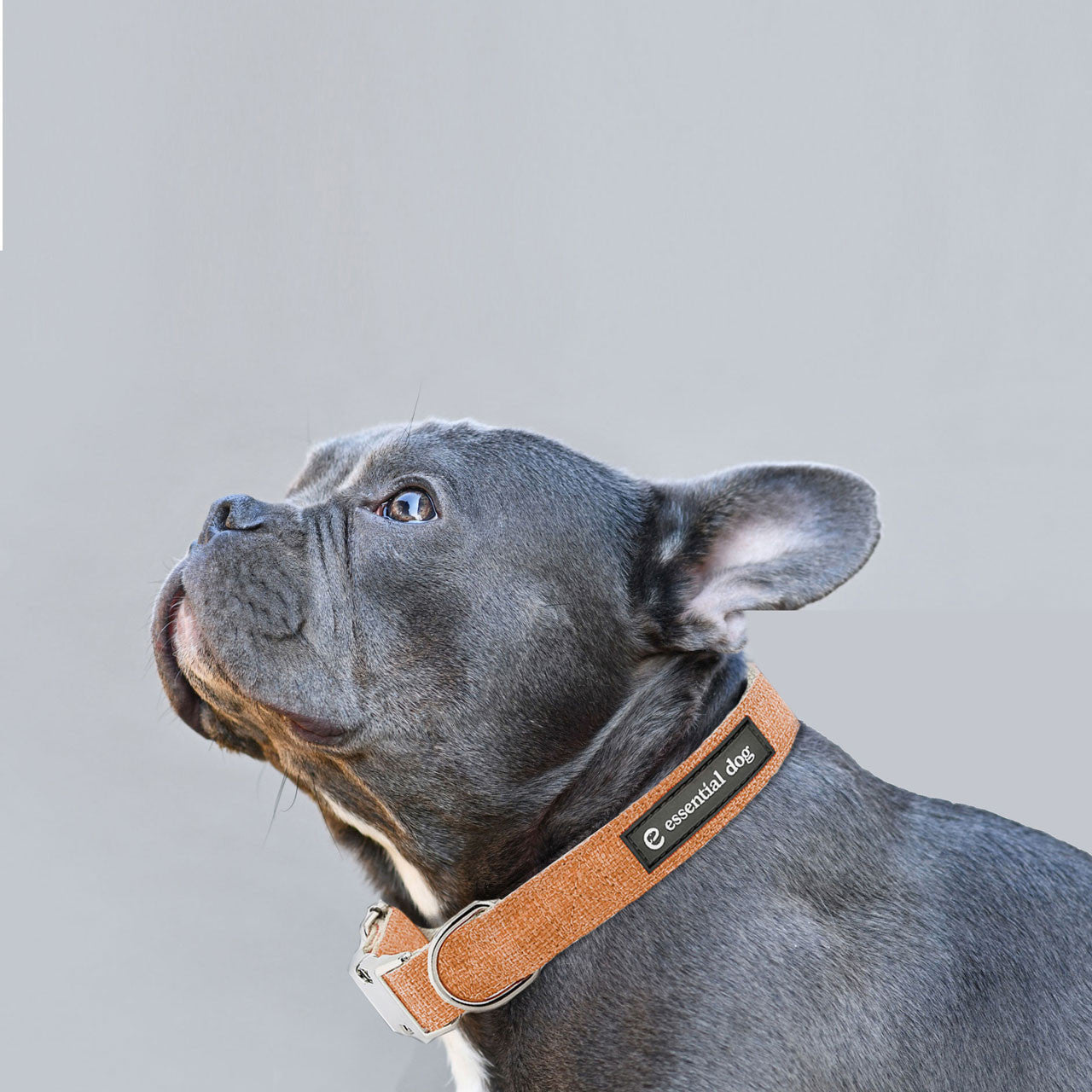 Natural Hemp & Cotton Dog Collar Orange Burst