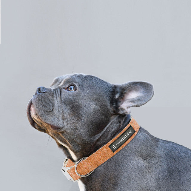 Natural Hemp & Cotton Dog Collar Orange Burst