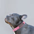 Natural Hemp & Cotton Dog Collar Pretty Pink EXTRA SMALL