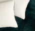 2-in-1 Teddy Sherpa Quilt Cover Set (Queen Size - Emerald Green)