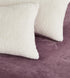 Teddy Sherpa Twin-Pack European Pillowcases - Soft Reversible Velvet & Sherpa Cushion Covers - Machine Washable with Zipper Closure -  65x65cm - Mauve
