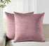 Twin-Pack Velvet Cushion Covers - Soft Microfibre Cushion Covers with Hidden Zipper (Blush, 45cm*45cm)