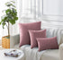 Twin-Pack Velvet Cushion Covers - Soft Microfibre Cushion Covers with Hidden Zipper (Blush, 45cm*45cm)