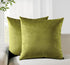 Twin-Pack Velvet Cushion Covers - Soft Microfibre Cushion Covers with Hidden Zipper (Green, 45cm*45cm)