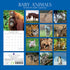 Baby Animals - 2024 Square Wall Calendar Pets Animals 16 Months Premium Planner