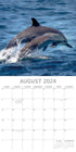 Dolphins - 2024 Square Wall Calendar Sea Animals 16 Months Premium Planner Gift