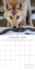 Wolves - 2024 Square Wall Calendar Pets Animals 16 Months Christmas Planner Gift