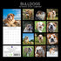 Bulldogs - 2024 Square Wall Calendar Pets Dog 16 Months Premium Planner New Year