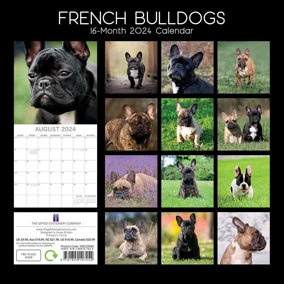 French Bulldogs - 2024 Square Wall Calendar Pets Dog 16 Months Premium Planner