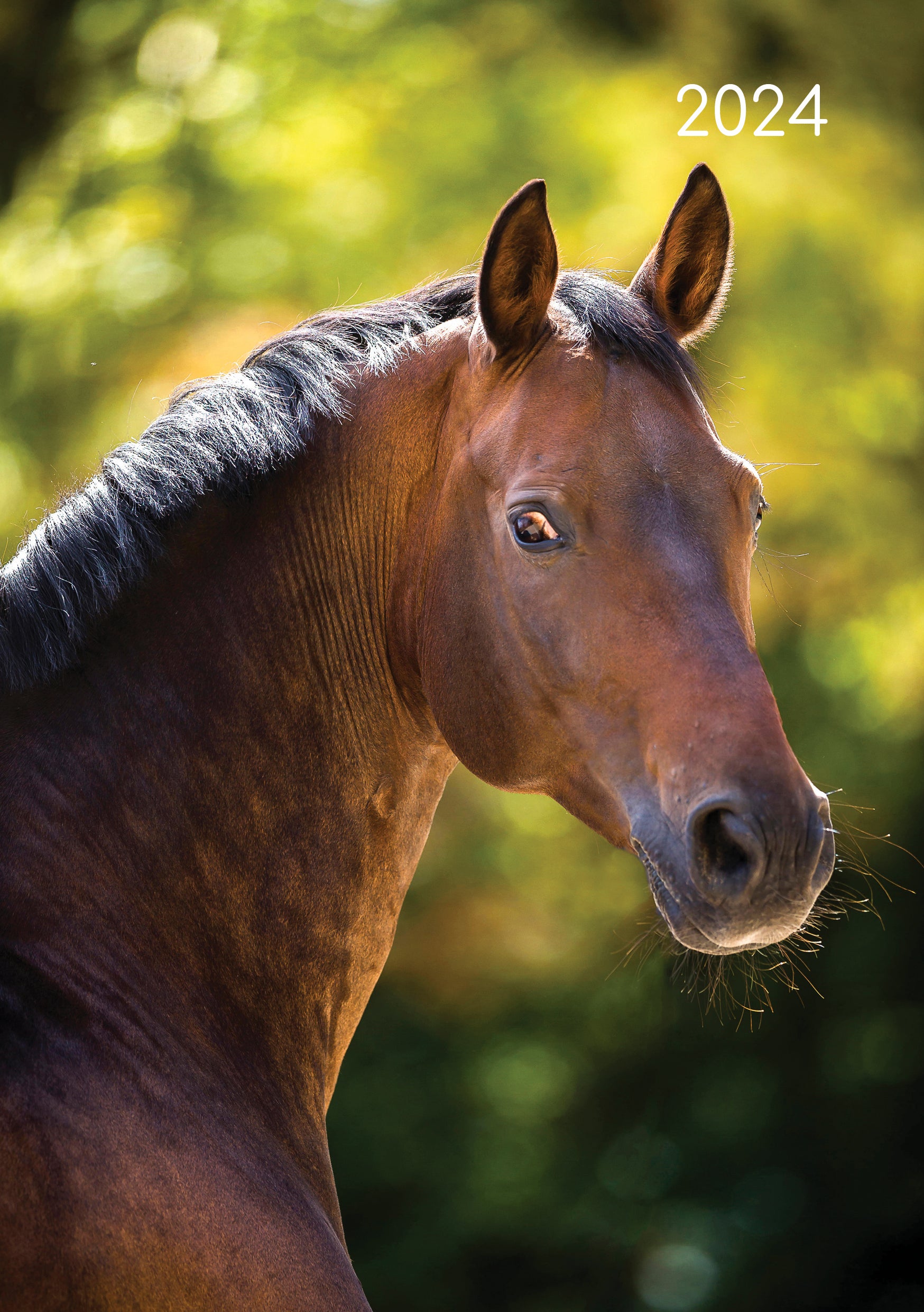 Horses - 2024 A5 Padded Cover Diary Premium Planner Book Christmas New Year Gift