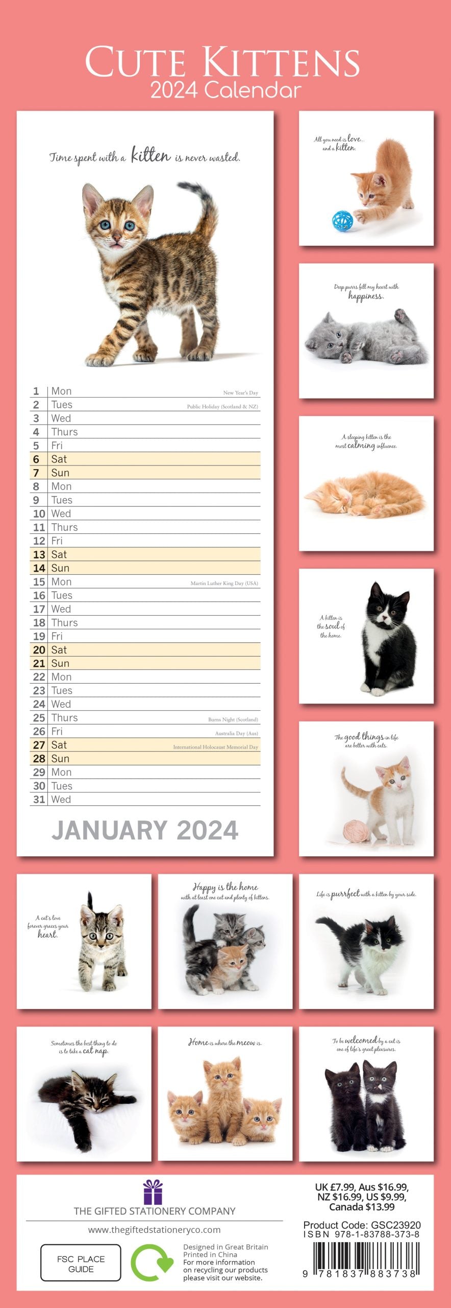 Cute Kittens - 2024 Slimline Slim Wall Calendar Hanging Planner New Year Gift