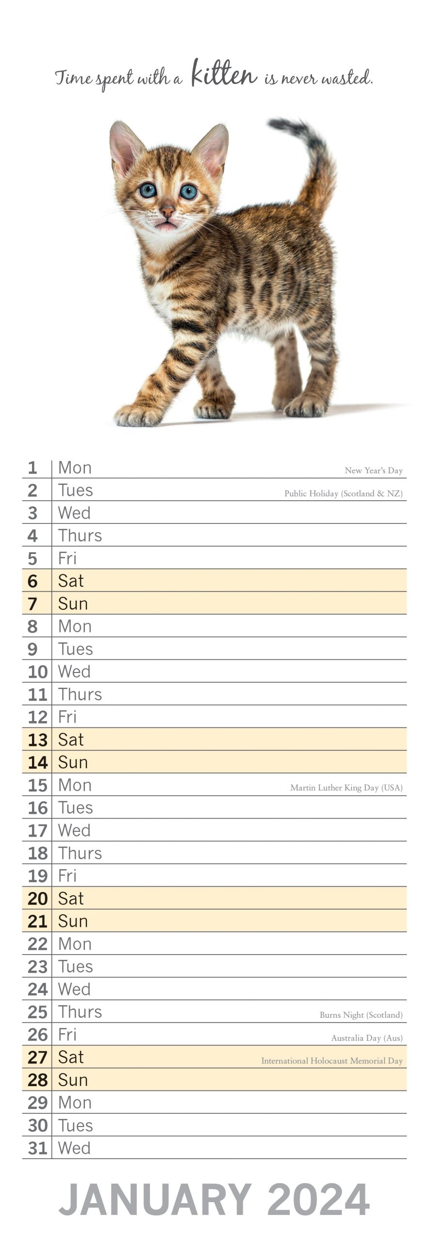 Cute Kittens - 2024 Slimline Slim Wall Calendar Hanging Planner New Year Gift