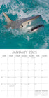 Sharks - 2025 Square Wall Calendar Pets Animals 16 Months Premium Planner Gift