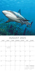 Sharks - 2025 Square Wall Calendar Pets Animals 16 Months Premium Planner Gift