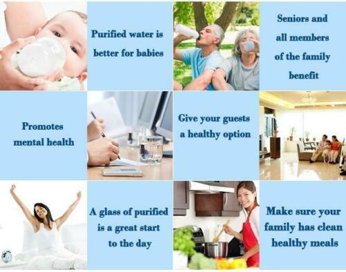 20L Benchtop Water Purifier Maifan Stone with 3 Fluoride Reduction Filters