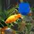 Mini Fish Tank Glass Brush for Algae Cleaning with Magnetic Aquarium Scrubber - White