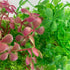 Artificial Water Grass Fish Tank Decoration Aquarium Landscape Simulation Plants - 04-3PCS