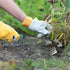 6 Tooth Hand Weeder Garden Hoe Tool for Weeding, Digging & Loosening Soil, 36cm