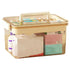 Large Capacity Two-Layer Medicine Box Household Transparent Medical Storage Box