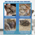 Cat Paw Moisturizer Repair and Protect Moisturizing Cream for Cat Paw Pads