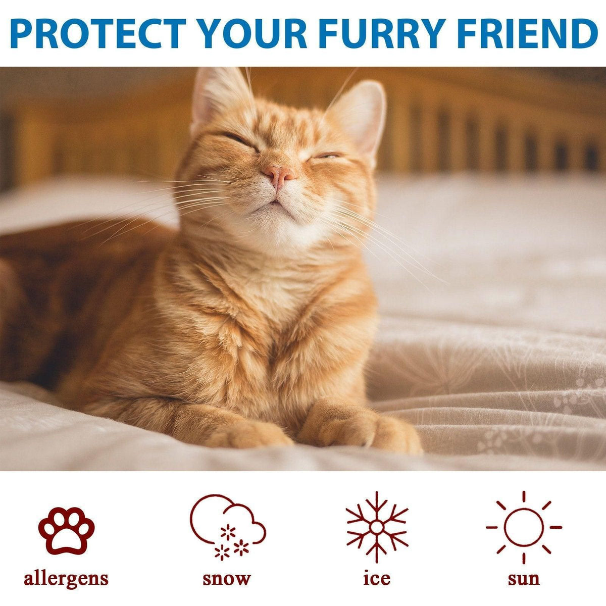 Cat Paw Moisturizer Repair and Protect Moisturizing Cream for Cat Paw Pads