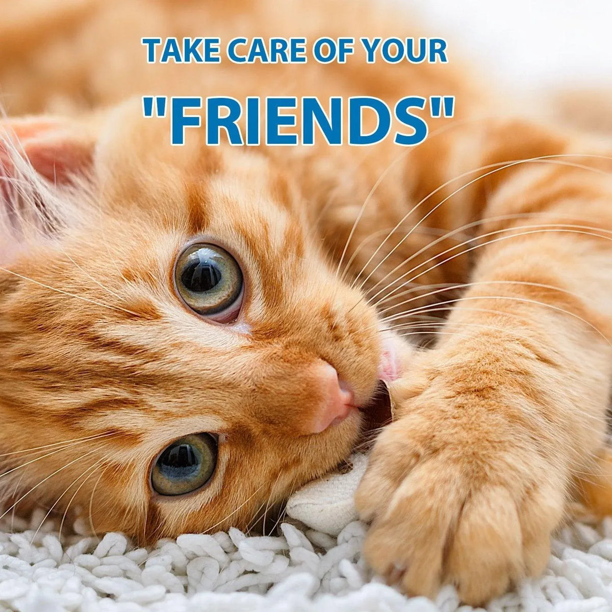 Cat Paw Moisturizer Repair and Protect Moisturizing Cream for Cat Paw Pads