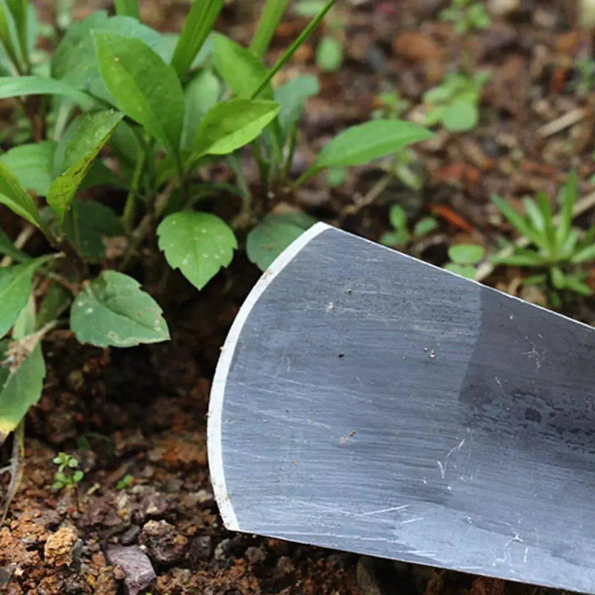 10 Piece Garden Hand Shovel Set, Steel Trowels with Wooden Handles for Planting
