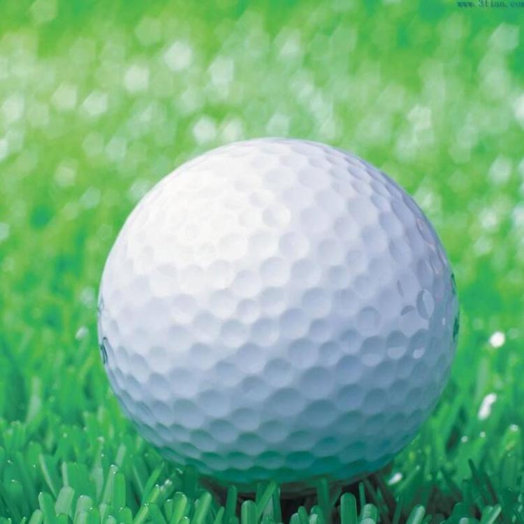 Double Layer Elastic Golf Balls for Driving Range - Synthetic Rubber