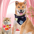 Cute Pet Triangle Towel Bib Cartoon Cats And Dogs Drool Towel Scarf - 04