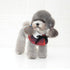 Dog Shawl Small Cloak Pet Bow Ttie Saliva Towel Pet Accessories - Size M - Gray Yellow Grid