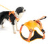 Vibe Geeks Ultimate 2-in-1 Reflective No-pull Dog Harness with Retractable Leash and Control Handle - Black - Xl